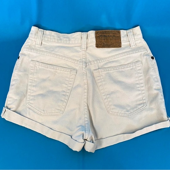 Vintage Mountain Blues Shorts - Picture 3 of 5